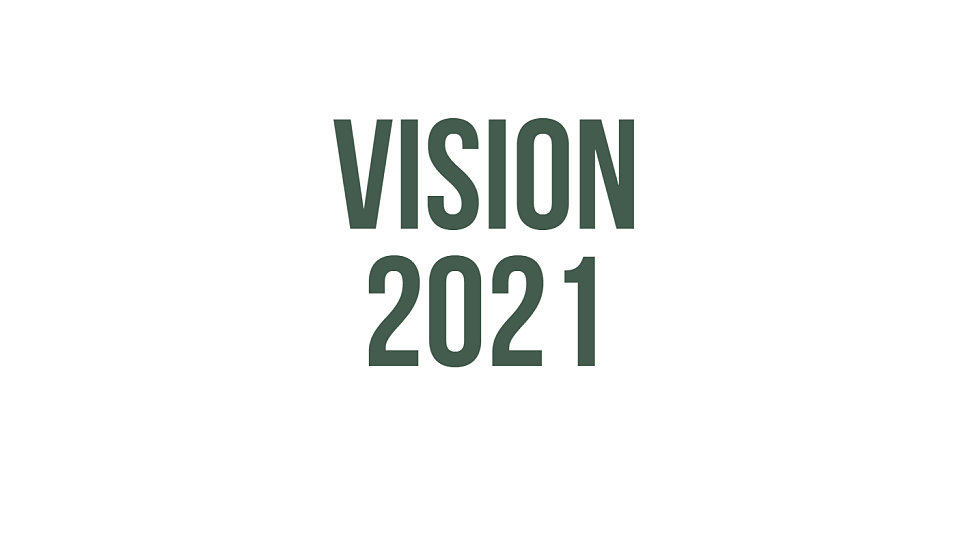 What is your Vision for 2021? – Alpha Queen's Concept